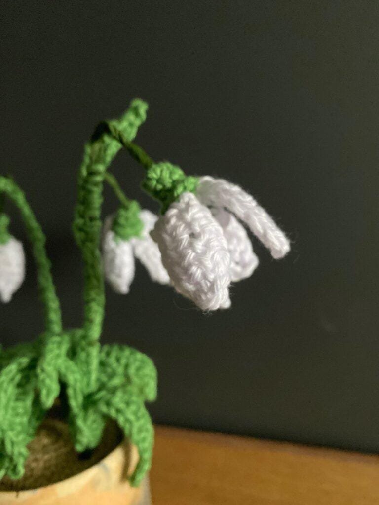 A close up of a pot of spring flowers with a black background