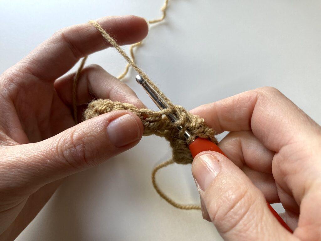 step 6 of the crochet pique stitch - insert hook into stitch again