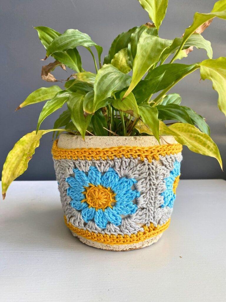 A small plant is a pot with a crochet granny square plant pot cover in yellow, blue and grey.