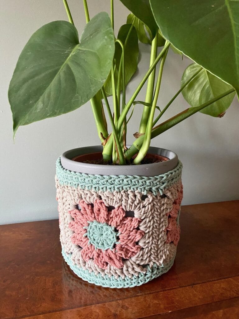 A large plant in a crochet plant pot sits on a wooden shelf