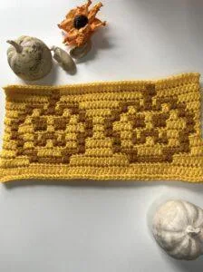 2 crochet pumpkins on a rectangle with autumnal decor around it