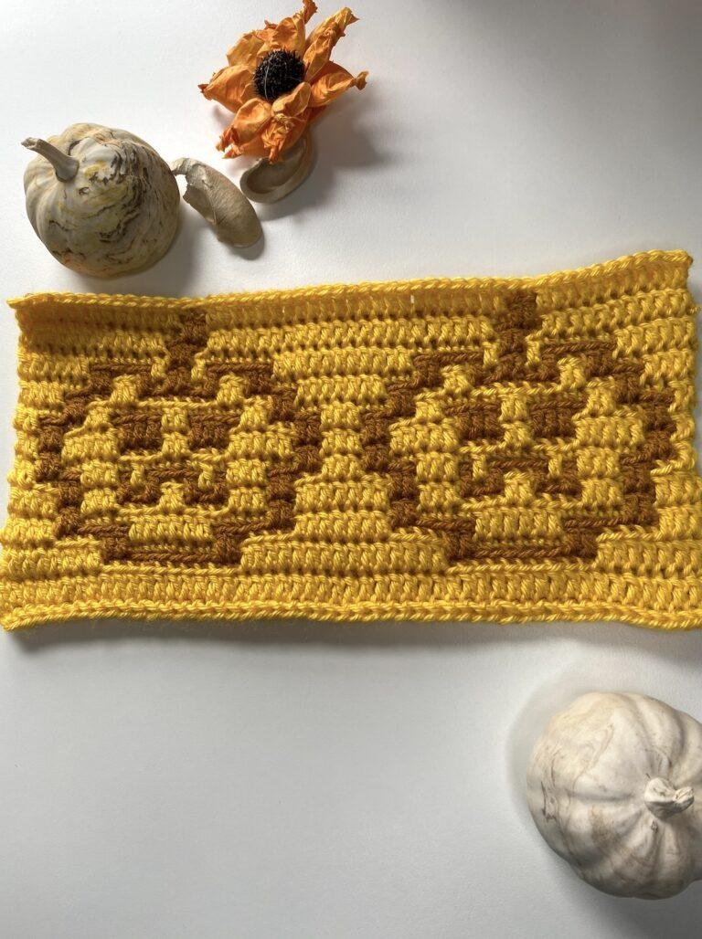2 crochet pumpkins on a rectangle with autumnal decor around it