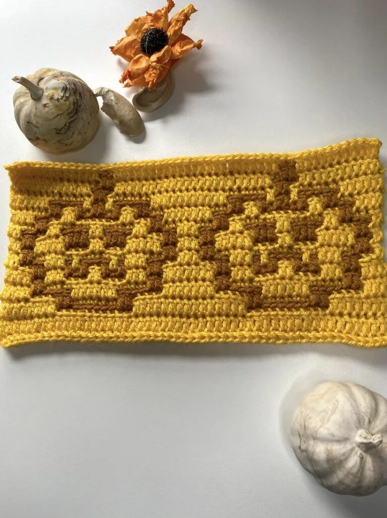 2 crochet pumpkins on a rectangle with autumnal decor around it
